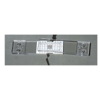 Riss-Spion für 1 Ebene, Messskala 40 x 20 mm, inkl. Testprotokoll, Kleber, Mischplatte und Holzspatel